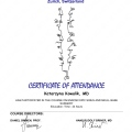 Powiększ obraz: certificate 8