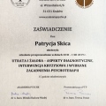 Powiększ obraz: certificate 1