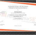 Powiększ obraz: certificate 3