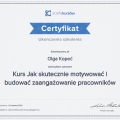 Powiększ obraz: certificate 4