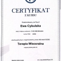 Powiększ obraz: certificate 2