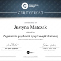 Powiększ obraz: certificate 7