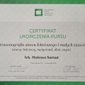 Powiększ obraz: certificate 2