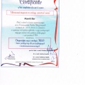 Powiększ obraz: certificate 2