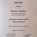 Powiększ obraz: certificate 11