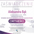 Powiększ obraz: certificate 2