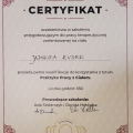 Powiększ obraz: certificate 4