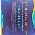 Powiększ obraz: certificate 2