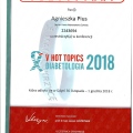 Powiększ obraz: certificate 2