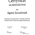 Powiększ obraz: certificate 7