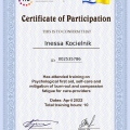 Powiększ obraz: certificate 5