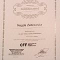 Powiększ obraz: certificate 4