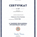 Powiększ obraz: certificate 3