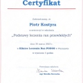 Powiększ obraz: certificate 5