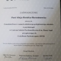 Powiększ obraz: certificate 1