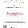 Powiększ obraz: certificate 11