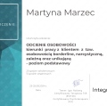 Powiększ obraz: certificate 16