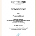 Powiększ obraz: certificate 1