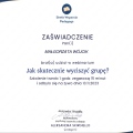 Powiększ obraz: certificate 9