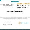 Powiększ obraz: certificate 3