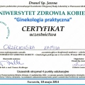 Powiększ obraz: certificate 11