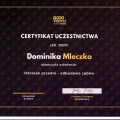 Powiększ obraz: certificate 11