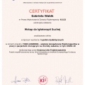 Powiększ obraz: certificate 12