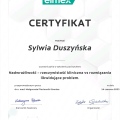 Powiększ obraz: certificate 2