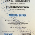 Powiększ obraz: certificate 10