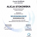 Powiększ obraz: certificate 4