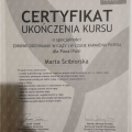 Powiększ obraz: certificate 4