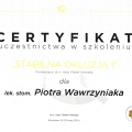Powiększ obraz: certificate 15