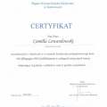 Powiększ obraz: certificate 12