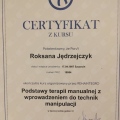 Powiększ obraz: certificate 11