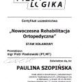 Powiększ obraz: certificate 6