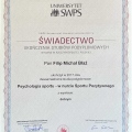 Powiększ obraz: certificate 11