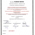 Powiększ obraz: certificate 3