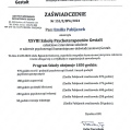 Powiększ obraz: certificate 1