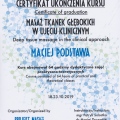 Powiększ obraz: certificate 6