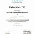 Powiększ obraz: certificate 7