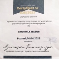 Powiększ obraz: certificate 1