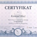 Powiększ obraz: certificate 28
