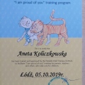 Powiększ obraz: certificate 3
