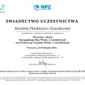 Powiększ obraz: certificate 20