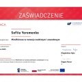 Powiększ obraz: certificate 3