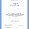 Powiększ obraz: certificate 1