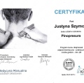 Powiększ obraz: certificate 11