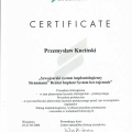 Powiększ obraz: certificate 11