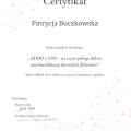 Powiększ obraz: certificate 15