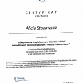Powiększ obraz: certificate 6